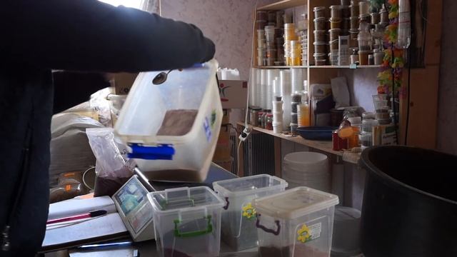 Цветочный сахар смотреть онлайн