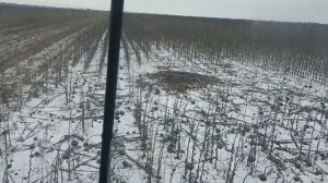 Уборка подсолнуха в январе 2023 год
