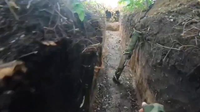 ? Черная Мамба !!!