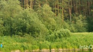 Отдых? на природе с палаткам???с.Аромашево Алапаевский рай.⛰️??