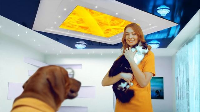 Ролик "Гармония уюта" - Пес смотреть онлайн