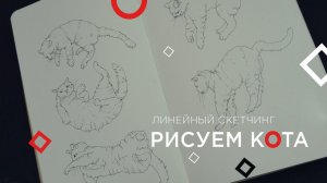 Как нарисовать КОТА: уроки рисования, скетчинг, поэтапно