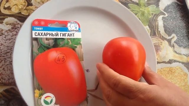 Томат "САХАРНЫЙ ГИГАНТ". Дегустация смотреть онлайн