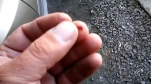 Чек aerbag датчик положения сиденья (Рено Меган )решение проблемы