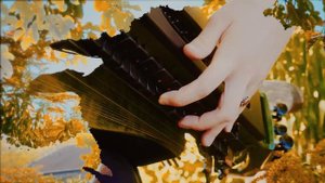 Flower Duet Theme _ Duo des Fleurs - Patty Gurdy (Hurdy-Gurdy Version of the opera Lakmé)