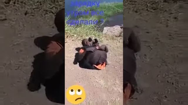 Ану быстро делайте зарядку!!!!! смотреть онлайн