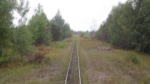 Узкоколейка. Мезиновское торфопредприятие 29.08.2015
