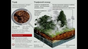Лесные и торфяные пожары ?? ОБЖ ➄