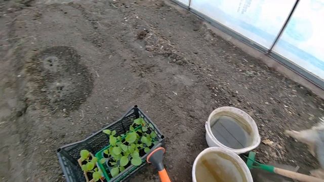 Мотивация на готовку / Дачный влог. смотреть онлайн