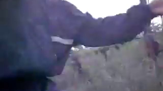 pitta nuova peg perego si sfracella смотреть онлайн