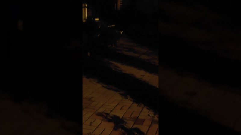 Тишка не пускает домой.