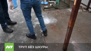 ТРУП БЕЗ ШКУРЫ