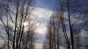 Парк Галицкого "Краснодар" 30 декабря 2023. Krasnodar park walking around. 2023-12-30. Galitsky Park