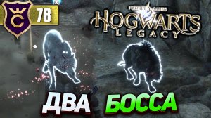 ЛОГОВО ДВУХ ВОЛКОВ БОССОВ! Hogwarts Legacy #78