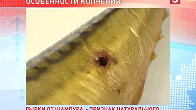 Хорошая копчёная рыба: состав и особенности копчения. "Есть можно! Утро на 5
