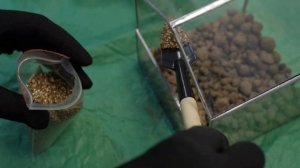 Флорариум своими руками Laaroom