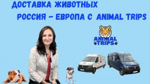 Доставка животных. Ответы на частые вопросы