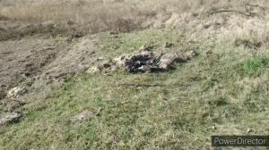 Купил дом в деревне, обзор дома и участка!