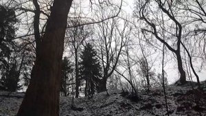 ГДЕ НАЙТИ МЕДЬ ЗИМОЙ. ЦВЕТНОЙ МЕТАЛЛ ВОКРУГ НАС