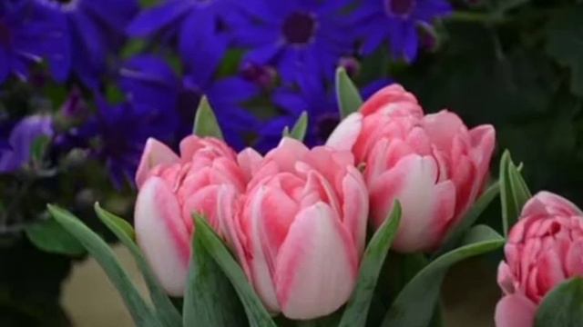 Красивая музыка!Музыка для Души!RELAX THE BEST!