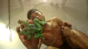 toy frog crush 4