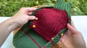 Жилет для собак