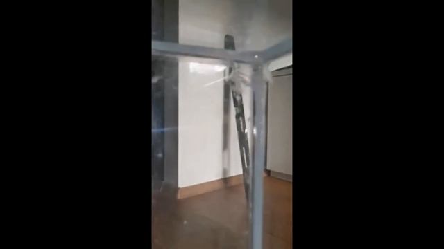 Как выбрать изготовителя аквариума. Переклеили аквариум 115*50*55 см. смотреть онлайн