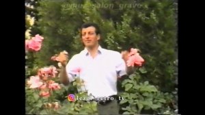 гр.Шахнабат - Назпери
