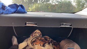 Ночую в Тесле ✅ Можно Ли Спать в Тесле? ✅ Tesla Camping Mode ✅ Tesla model 3 ✅ Тесла  Германия