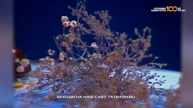 Фадис Ганиев - Уфтанма смотреть онлайн