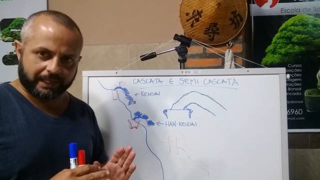 ESTILO CASCATA E SEMI-CASCATA, ALGUNS PRINCÍPIOS | Como Fazer Bonsai смотреть онлайн