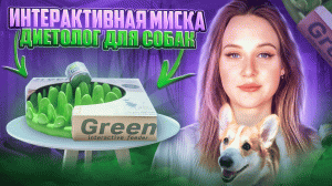 Интерактивная миска-диетолог Green для собак