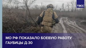 МО РФ показало боевую работу гаубицы Д-30