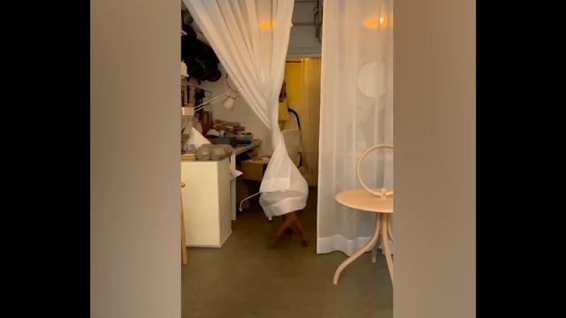смешные случаи с животными 25