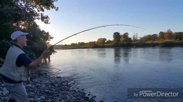 Володя Волжский смотреть онлайн