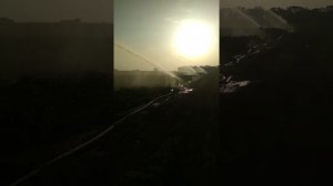 Полив картофеля помпой от вом Феррари