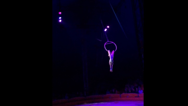 Aerial Lyra (Aerial ring) Asadullin troupe 2016