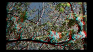 Dwie Minuty Wiosny w 3D HD (Anaglyph 3D Video / Panasonic HDC-SDT750 3D)