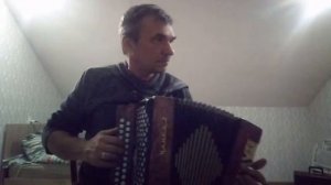 Гармонь "Чайка-2"