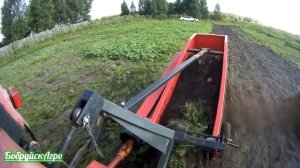 МТЗ 320 и картофелекопалка Wirax, копаю каждый день