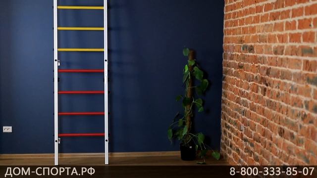 Разные цвета ступеней и ручек на шведской стенке. Дизайн шведских стенок. смотреть онлайн