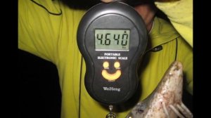 ОСЕТРОВЫЕ РЕКОРДЫ В РК "СТРЕЛЕЦКИЙ РУЧЕЙ"