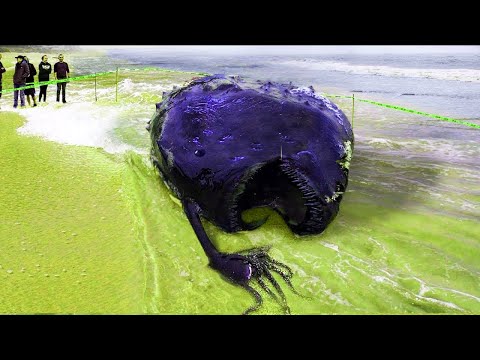 ✅ Существа выброшенные на берег смотреть онлайн