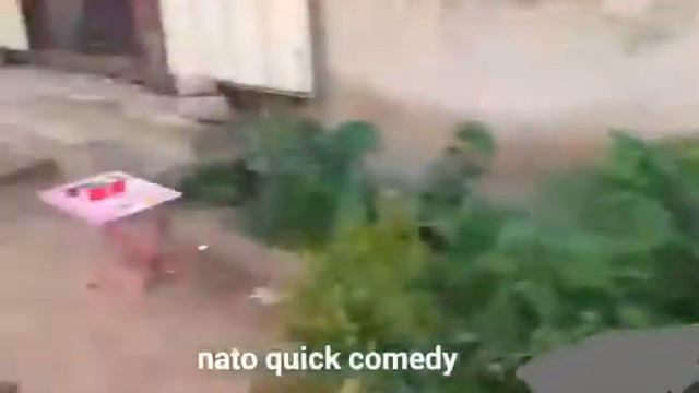 The Sardine Slayer (Nato quick ) смотреть онлайн