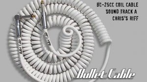 Bullet  Coil Cable Sound Track A 25CA