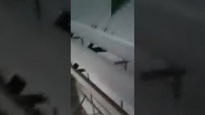 Приморская ГРЭС Лучегорск условия работы и состояниг завода