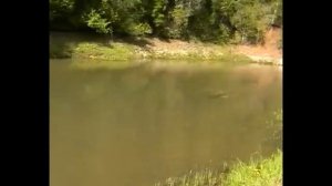 Рыбалка ловля хариуса на червя и короеда