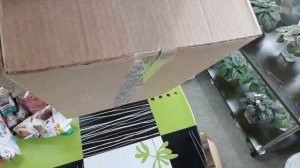 Как упаковать деток фиалки для пересыла по почте? Упаковка посылки с Фиалками!