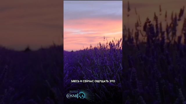 Состояния внутри Вас! смотреть онлайн