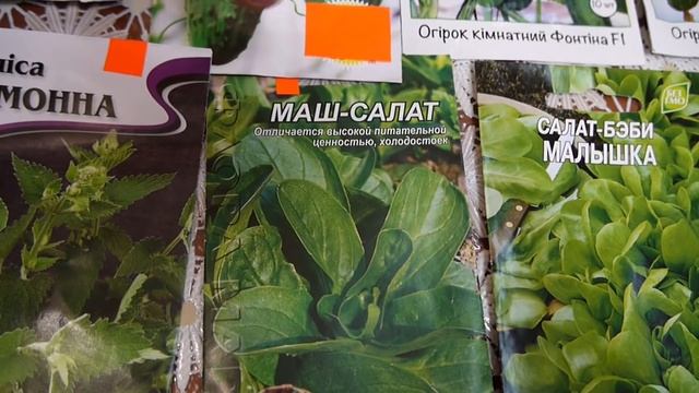 ОГОРОД НА ПОДОКОННИКЕ . ЧТО МОЖНО ВЫРАСТИТЬ  ДОМА ?
